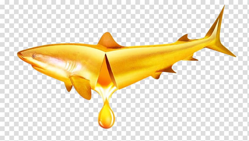 gold shark cut in half dripping gold liquid illustration, Dietary supplement Fish oil Cod liver oil Docosahexaenoic acid Eicosapentaenoic acid, Cod liver oil material Free transparent background PNG clipart