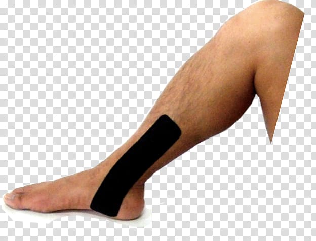 Calf Elastic therapeutic tape Adhesive tape Ankle Athletic taping, leg piece transparent background PNG clipart