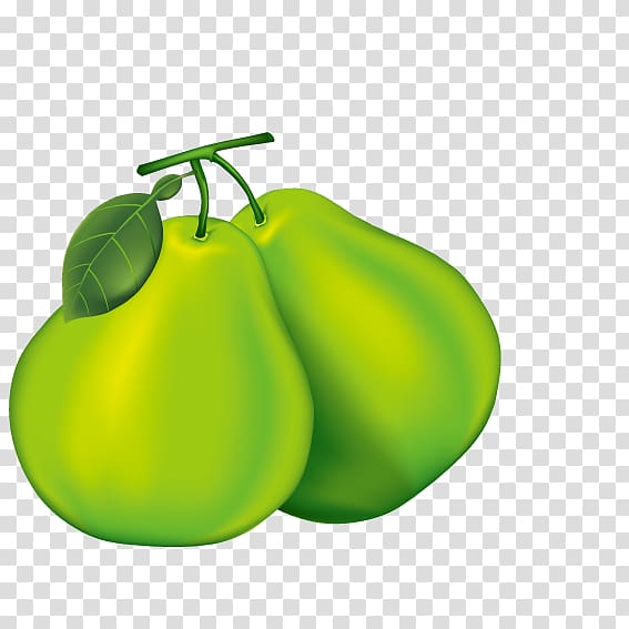 Pear Pomelo Cartoon, Green pears transparent background PNG clipart
