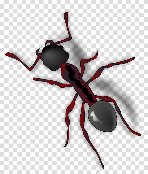 The Ant and the Grasshopper , ant transparent background PNG clipart