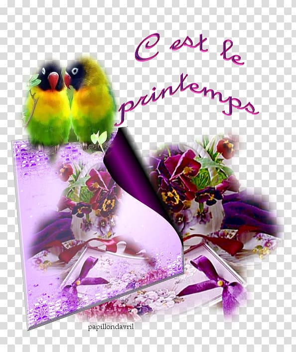 .net Desktop , bonjour transparent background PNG clipart