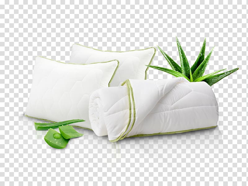 Aloe vera Plant Pillow Search for extraterrestrial intelligence, plant transparent background PNG clipart
