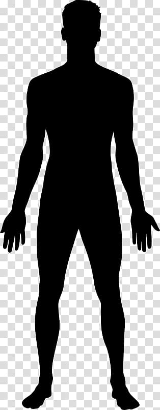 Human sketch, Human body Female body shape Homo sapiens Woman, Token s,  white, hand, monochrome png