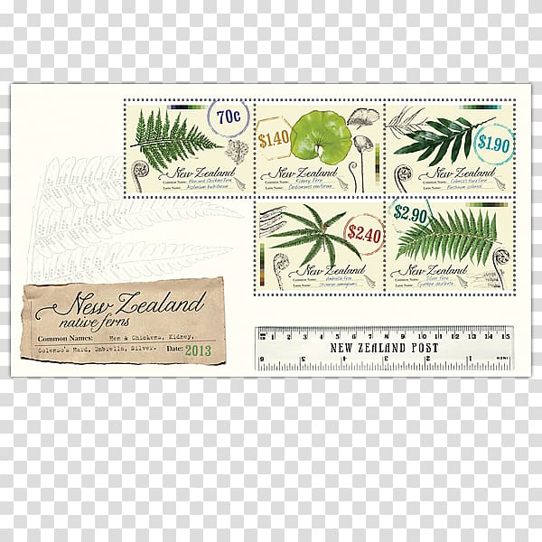 Ferns of New Zealand Silver fern Burknar, others transparent background PNG clipart