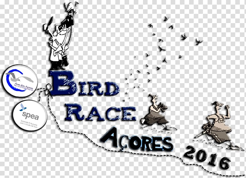 Birdrace Flores Island Big year, Bird transparent background PNG clipart