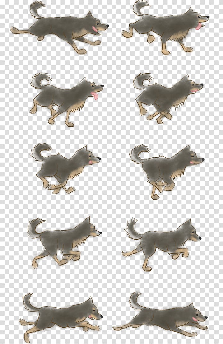 Dogo Argentino Border Collie Pointer Dog park Animation, Dogs running transparent background PNG clipart