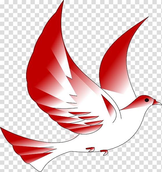 red and white bird , Columbidae Confirmation in the Catholic Church Symbol , Free Confirmation transparent background PNG clipart