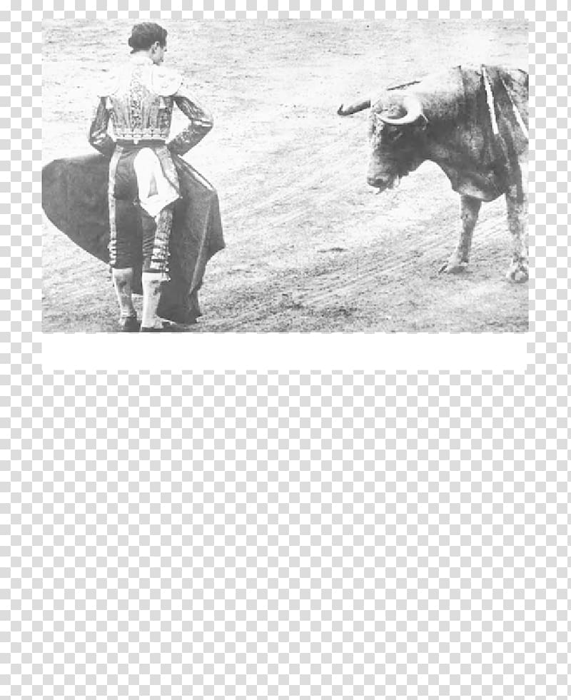 Redondo Beach Spain Bullfighter Bullfighting, bull transparent background PNG clipart