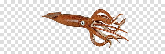 Squid transparent background PNG clipart