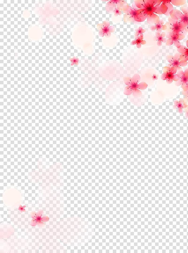 white and pink flowers border , Wedding Euclidean , Floral background transparent background PNG clipart