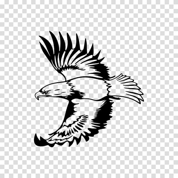 Eagle Drawing , eagle transparent background PNG clipart