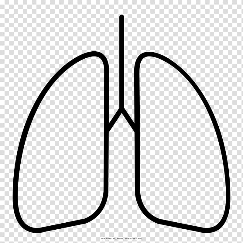 Drawing Black and white Coloring book Lung Stethoscope, Estetoscopio transparent background PNG clipart