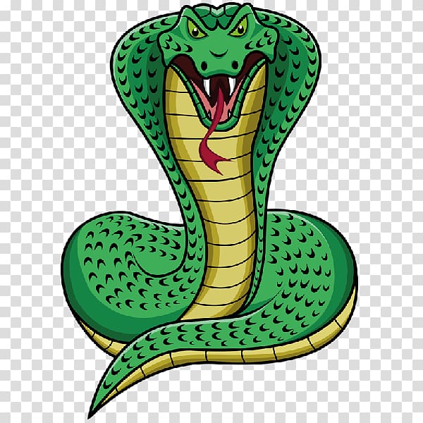 Snake King cobra , snakes transparent background PNG clipart