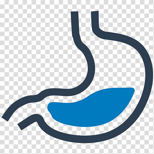 Computer Icons Digestion Gastroenterology, others transparent background PNG clipart