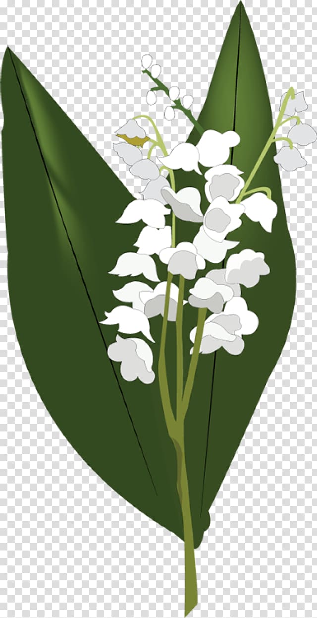 Lily of the valley , Lily of The Valley HD transparent background PNG clipart