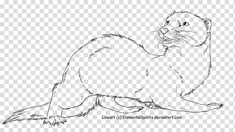 Whiskers Cat Ferret Lion Stoat, Cat transparent background PNG clipart