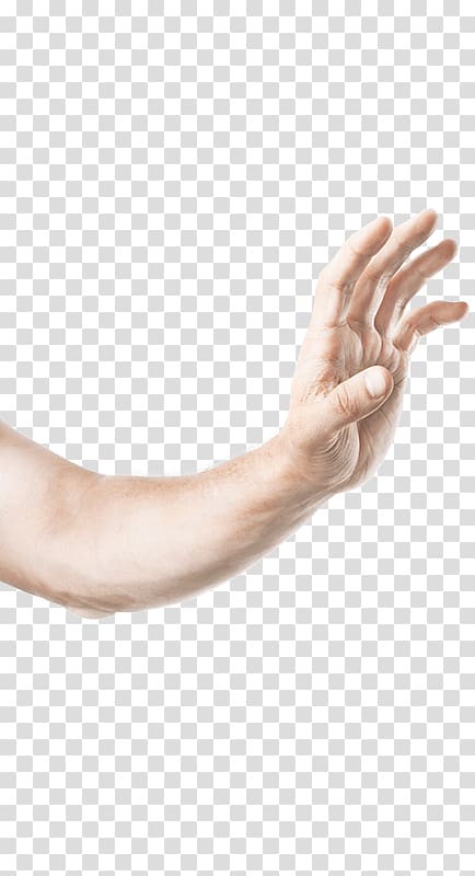 Thumb Genotek Moscow State University Main Building Hand model Elbow, others transparent background PNG clipart
