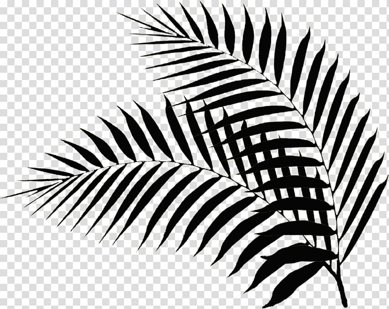two black fern leaves, Palm branch Leaf Hotel Palm Sunday , palm leaves transparent background PNG clipart