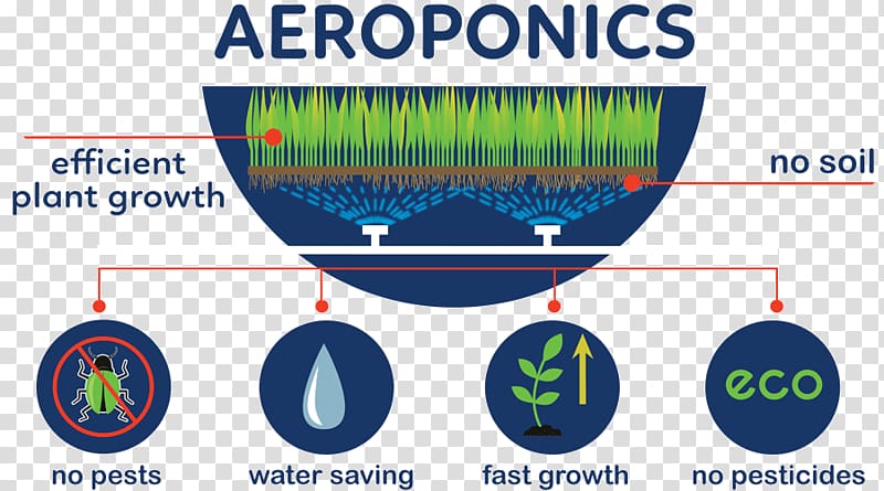 Aeroponics Agriculture Pest Hydroponics Soil, Transplant transparent background PNG clipart