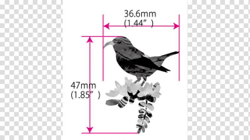 Sticker Hawaiian honeycreeper Bird Decal Text, Bird transparent background PNG clipart