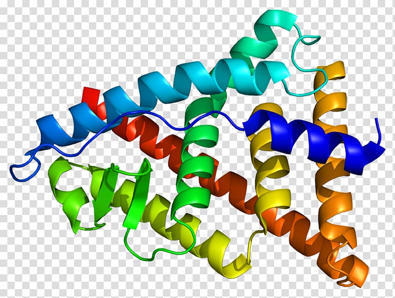 Estrogen receptor beta Estrogen receptor alpha Nuclear receptor, Isoflavones transparent background PNG clipart