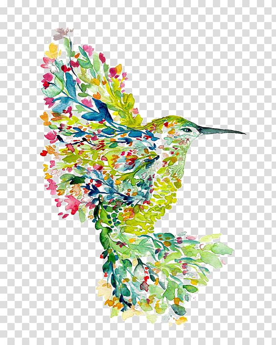 drawing hummingbird transparent background PNG clipart