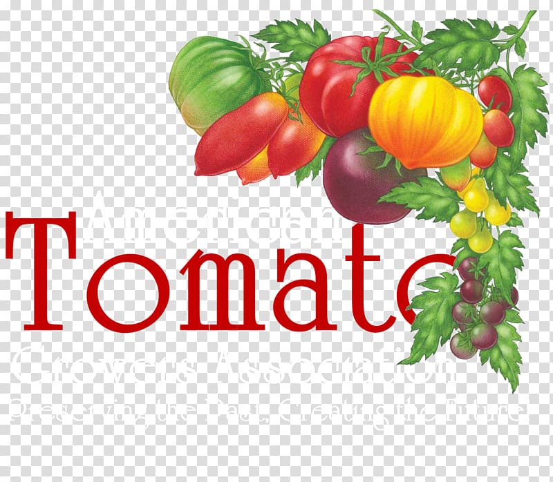 Tomato soup Brandywine Italian tomato pie Organic food Heirloom tomato, colorful strips transparent background PNG clipart