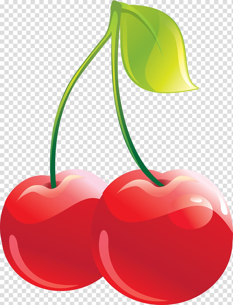 Cherry pie Chocolate-covered cherry Rainier cherry , cherry transparent background PNG clipart