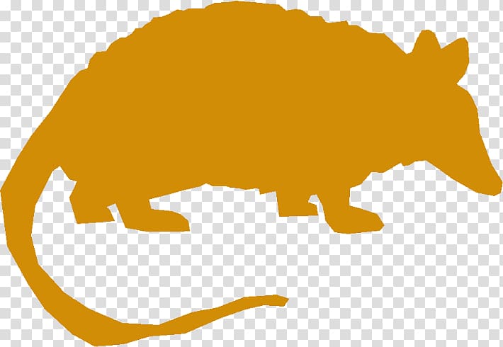 Canidae Armadillo , Armadillo transparent background PNG clipart