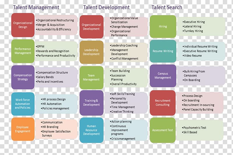 Organization Human Resources Human resource management Human resource consulting, Business transparent background PNG clipart