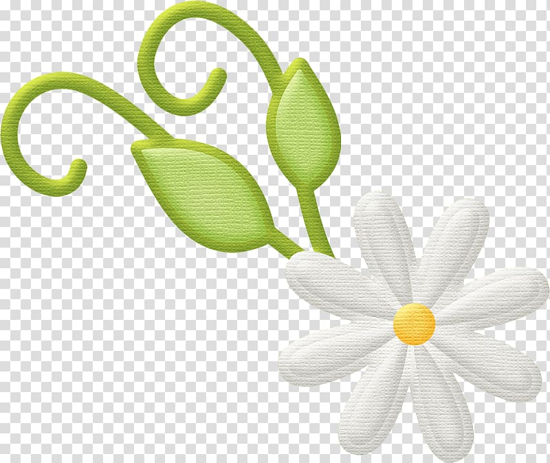, design transparent background PNG clipart