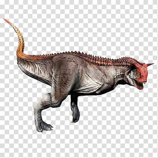 Carnotaurus Tyrannosaurus Pachycephalosaurus Primal Carnage: Extinction Dinosaur, carnage transparent background PNG clipart