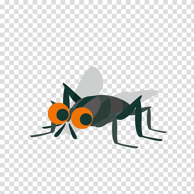 Insecticide Black fly Mosquito , fly transparent background PNG clipart