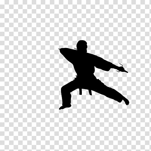 Martial arts Kung fu Silhouette, Fight transparent background PNG clipart