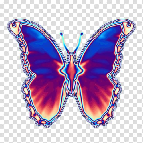 Monarch butterfly Luna Moth Hawk moths, butterfly transparent background PNG clipart