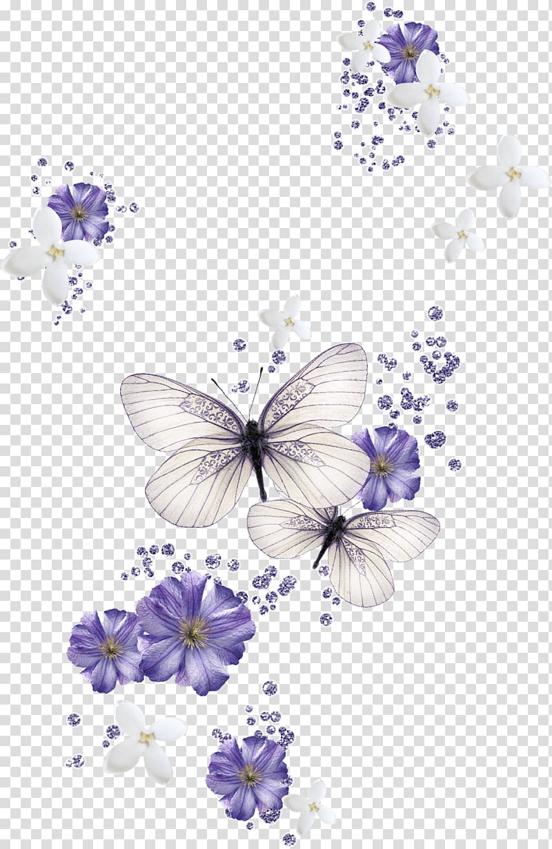 Butterfly Desktop Color , magnolia butterfly background transparent background PNG clipart