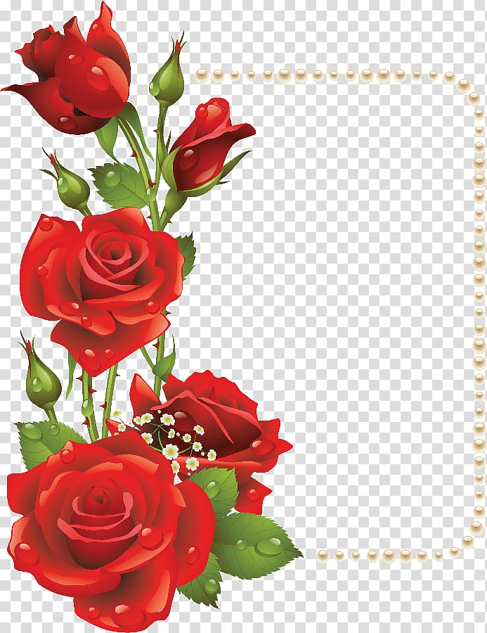 five red roses , Flower Frames Rose , red rose border transparent background PNG clipart