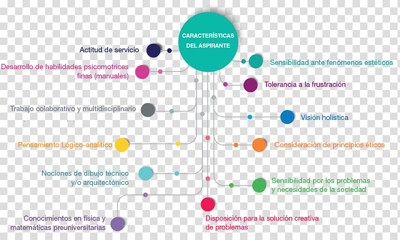 Organization Business administration Licentiate Administració i direcció d\'empreses Management, infographic design transparent background PNG clipart