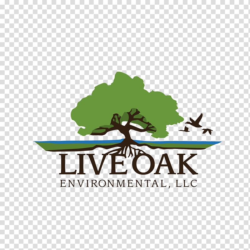 Live Oak Environmental Commercial waste Waste management Landfill, others transparent background PNG clipart