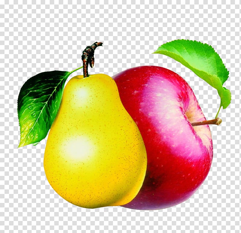 Pear Pome Apple , Apples and pears transparent background PNG clipart