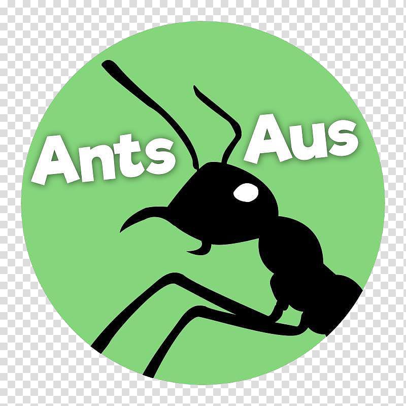 Argentine ant Aus Ants Ant-keeping Messor, others transparent background PNG clipart