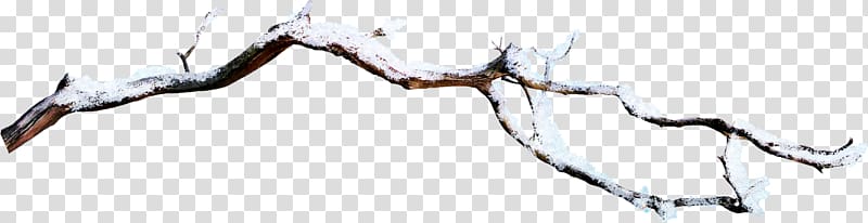 Branch Snow, Snow branch transparent background PNG clipart