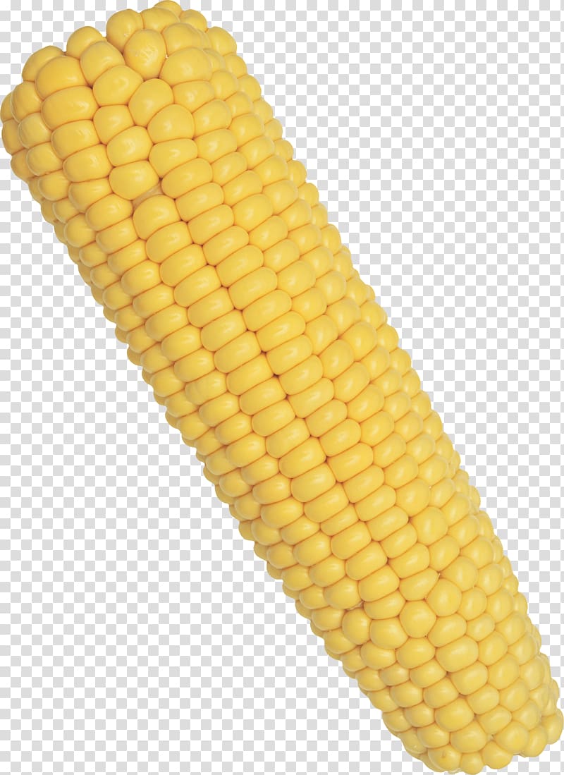 Corn on the cob Flint corn Sweet corn Corncob, corn transparent background PNG clipart