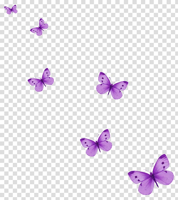purple butterflies , Butterfly Icon, Purple Butterfly transparent background PNG clipart