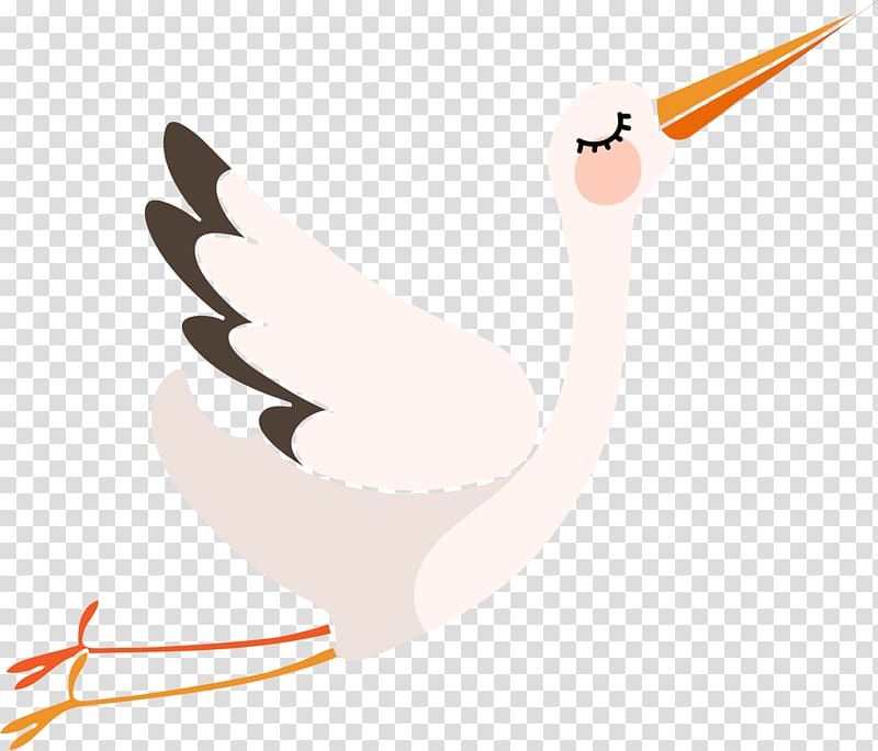 , stork transparent background PNG clipart