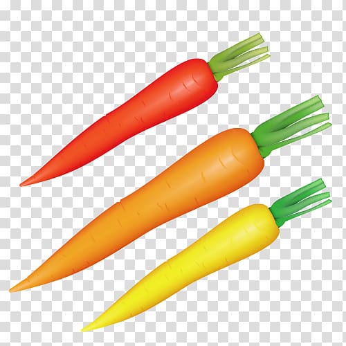 Carrot Vegetable Radish Food, Cartoon carrot transparent background PNG clipart