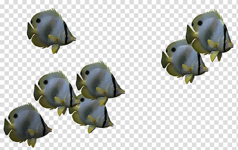 Fish 3D computer graphics Icon, Biological 3d fish,Cartoon fish transparent background PNG clipart