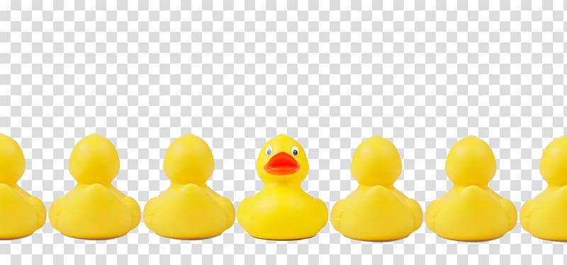 Duck Change management Genetic testing Business process, Little yellow duck transparent background PNG clipart