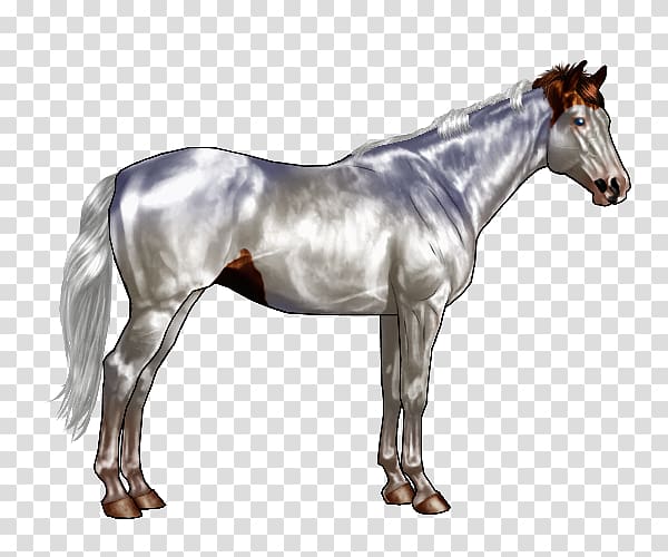 Sabino horse Pony Chestnut Equine coat color, horse transparent background PNG clipart