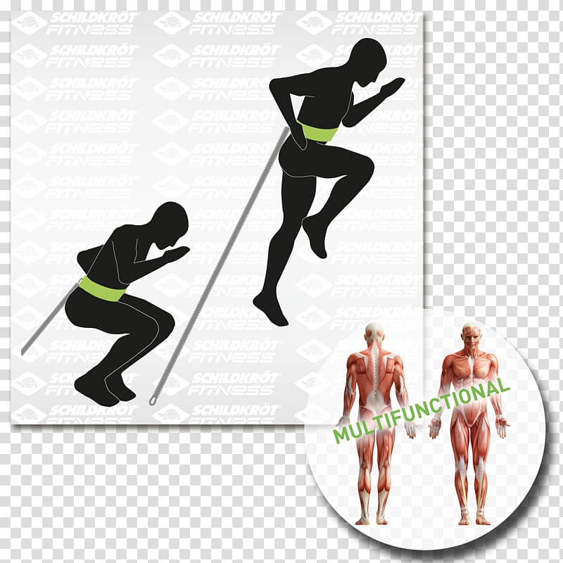 Abdominal external oblique muscle Physical fitness Abdominal exercise, fitness trainer cartoon transparent background PNG clipart